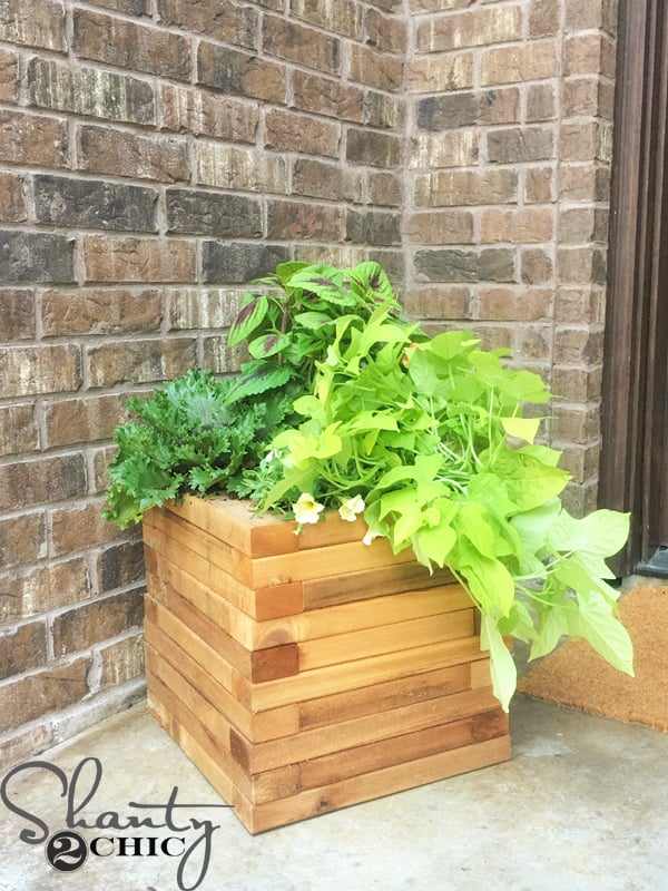 DIY $25 Cedar Planter and How-to Video - Image 1