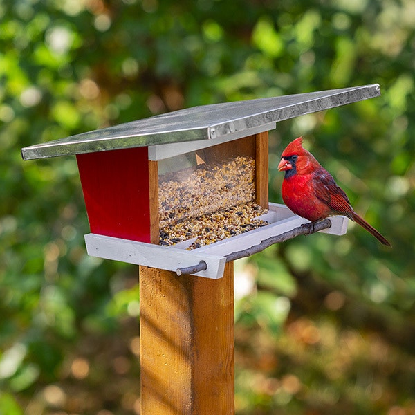 Bird Feeder Plan woodworking plan