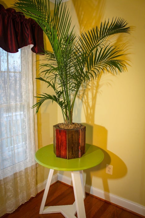 Bird's Mouth Hollow Spar Planter Made From Pallets woodworking plan