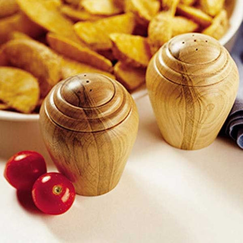 Woodworking Project Paper Plan to Build Turned Salt & Pepper Shakers - Image 1