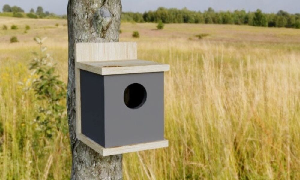 Modern Cedar Fence Picket Birdhouse Kit woodworking plan