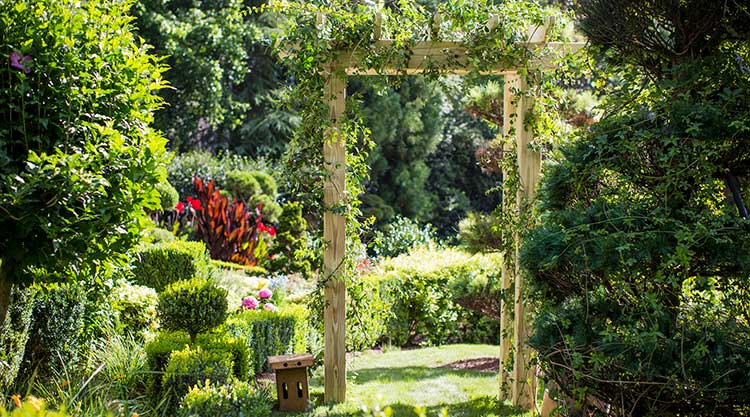 Arbor woodworking plan