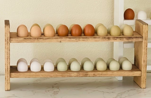Wooden Egg Holder woodworking plan