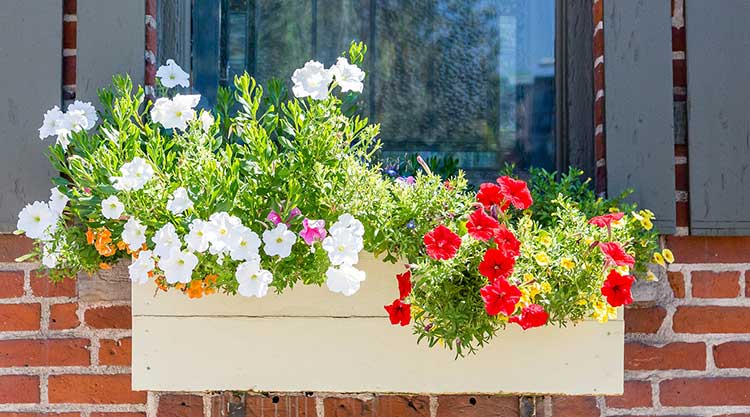 Window Planter Box woodworking plan