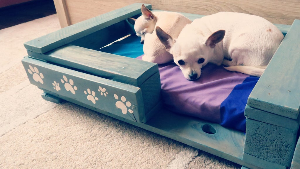 Pet Bed From Pallet – VIDEO woodworking plan