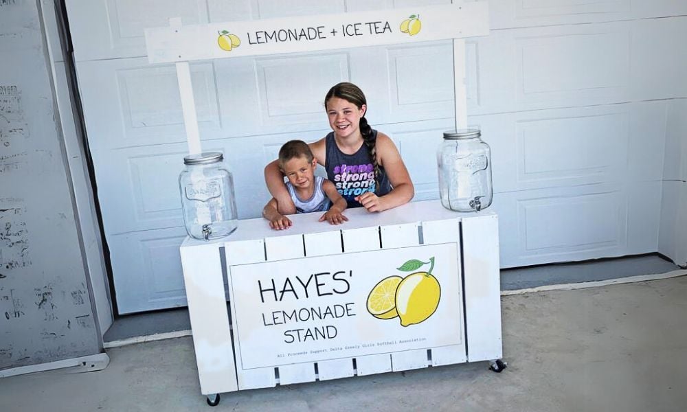 EASY BUILD Lemonade Stand - Image 1
