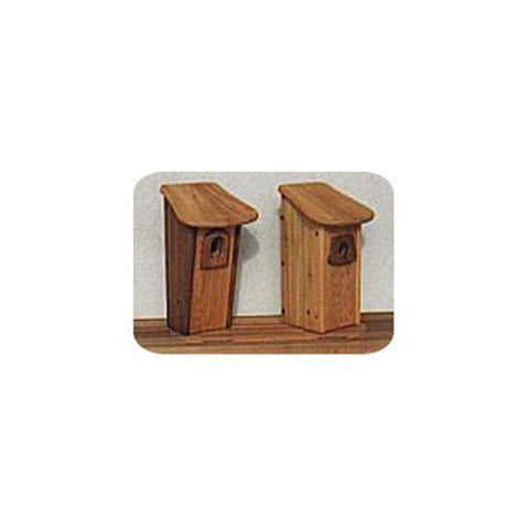 Woodworking Project Paper Plan to Build Blue Bird House - Image 1
