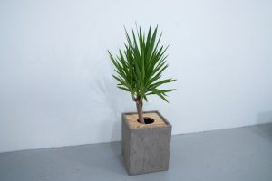 Lightweight Concrete Planter - Image 1