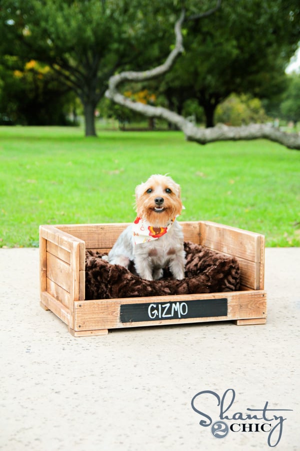 DIY $12 Pet Bed!! woodworking plan