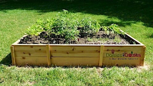Cedar Fence Picket Raised Garden Beds – 3′ x 6′ - Image 1