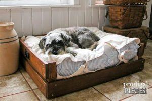 DIY Dog Bed Frame – How To Make a Dog Bed - Image 1