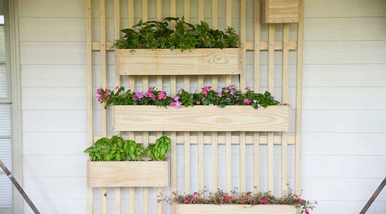 Planter Shelves (+Hack) woodworking plan