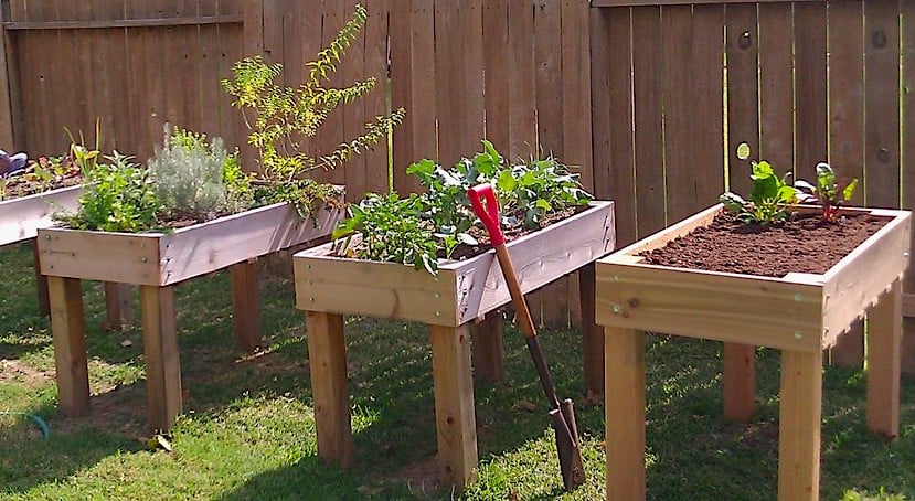 Simple Raised Garden Boxes by Janet Fox - Image 1