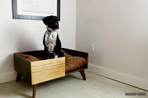 DIY Modern Dog Bed woodworking plan