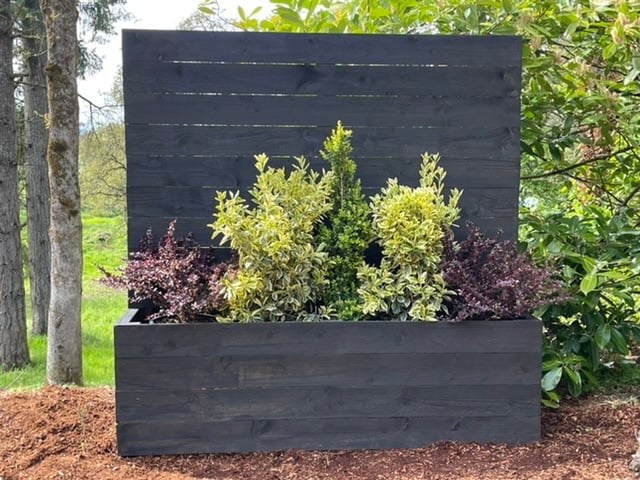 Privacy Planter - Image 1