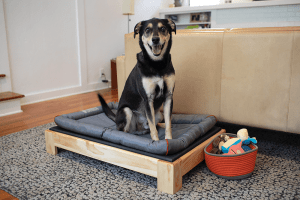 Dog Bed woodworking plan