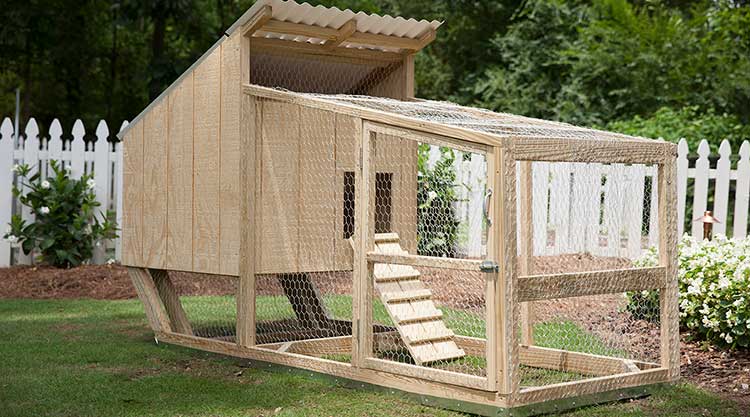 Chicken Coop (+Hack) - Image 1